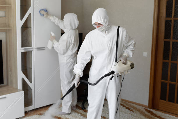 24/7 Emergency Odor Removal experts in Berkeley, CA